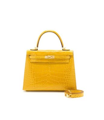 Tui Hermes Kelly sz mini da ca sau mau vang