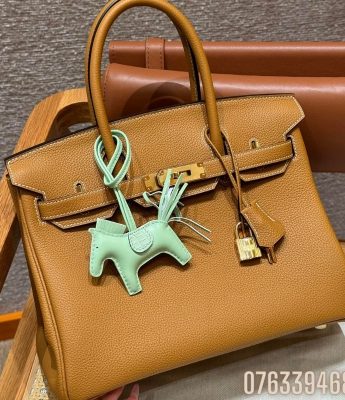 Tui xach Hermes Birkin mau nau da Togo 3