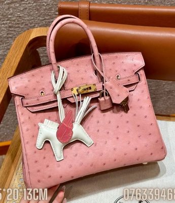 Tui xach nu Hermes Birkin da da dieu mau hong sz 25 TNHM27