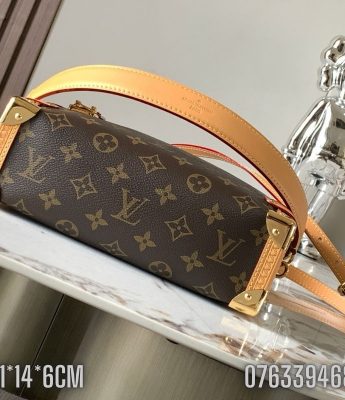 Tui nu Louis Vuitton Side Trunk hoa tiet hoa mau nau TNLV52