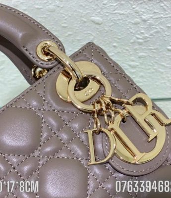 Tui xach Dior Lady Small hong nhat TND54 5