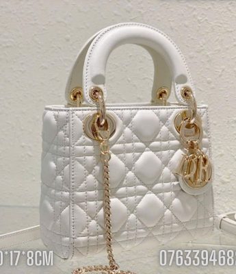 Tui xach Dior Lady Small mau trang TND61 6