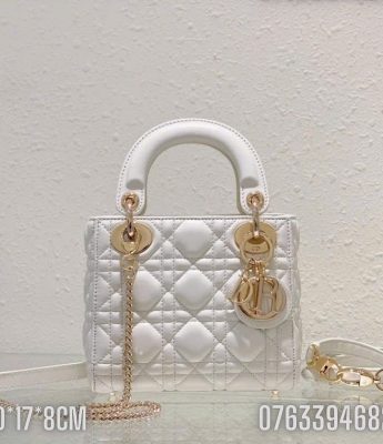 Tui xach Dior Lady Small mau trang TND61 8