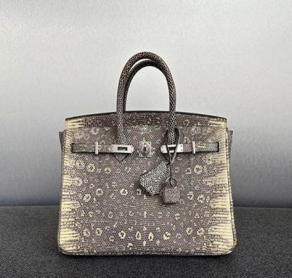 Cập nhật giá túi Hermes Birkin mới nhất trên thị trường